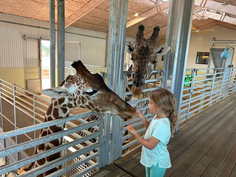 Family Magic: Core Memories for Kids