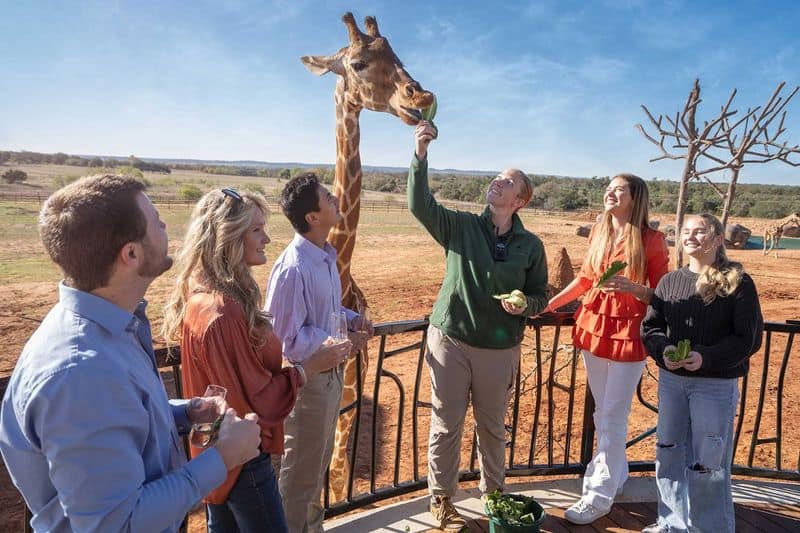 Conservation at the Core