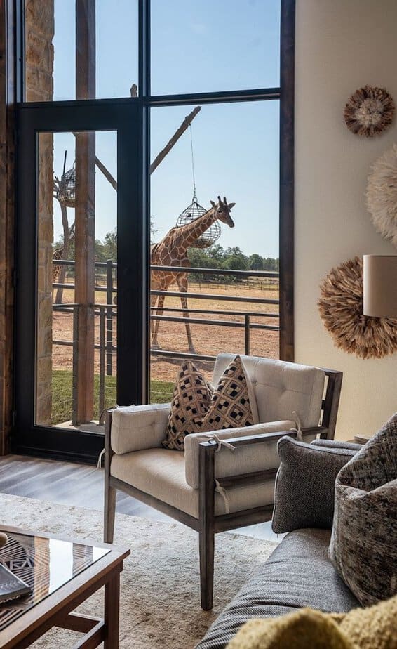 The Giraffe Suite: Front Row to Wonder