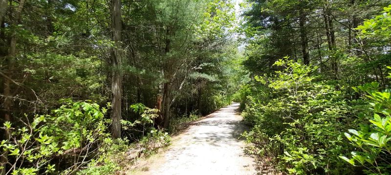 The Easy Trails That Let You See More Without Working Too Hard