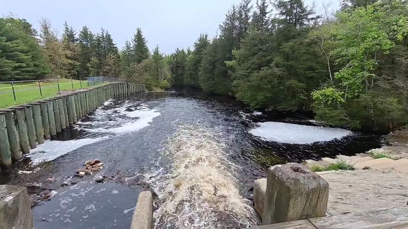 What to Know Before You Go So Your Visit Feels Relaxed and Worth It