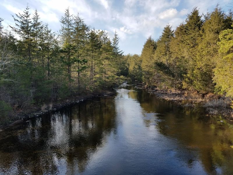 Why Double Trouble State Park Still Feels Like One of New Jersey’s Best Hidden Escapes