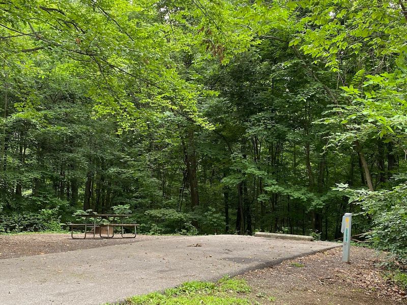 Best Campsites And Loops To Target