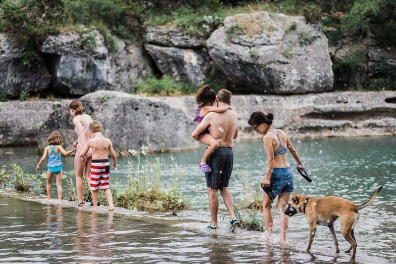 Family And Dog Friendly Guide