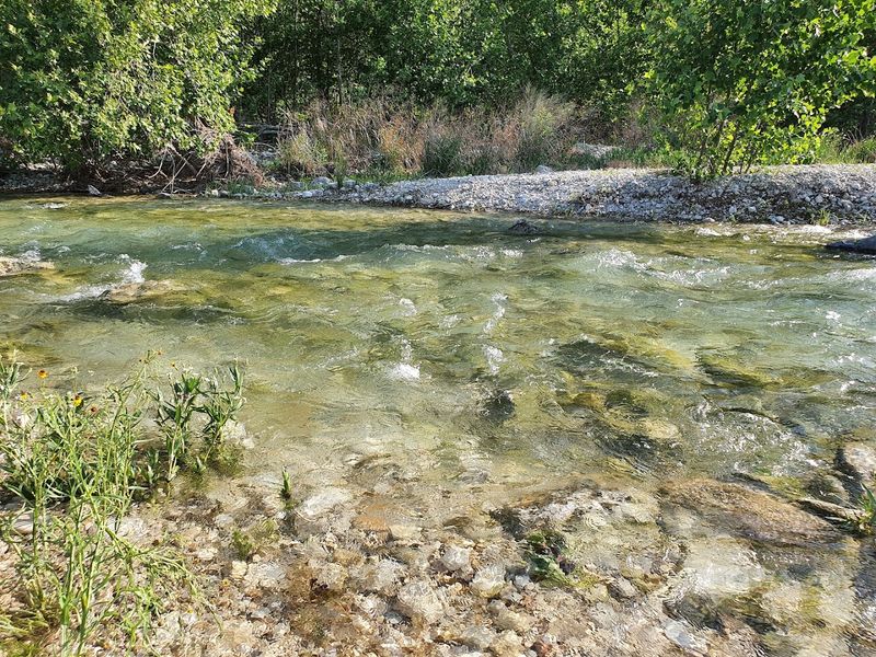 Fishing the Clear Water