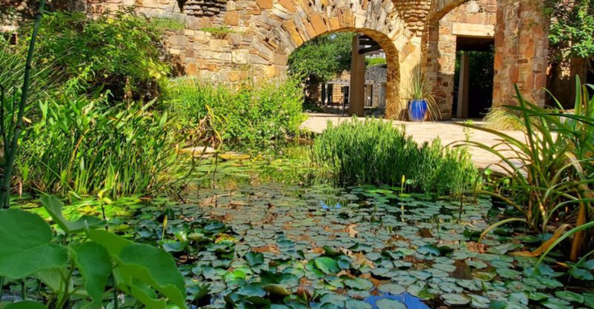 a gorgeous texas garden full of wildflowers and scenic nature trails