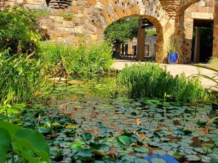 A Gorgeous Texas Garden Full of Wildflowers and Scenic Nature Trails