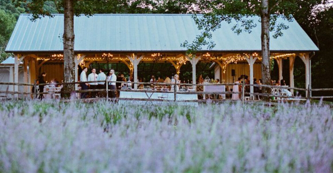 a lavender escape in new jersey that feels like a day trip to provence