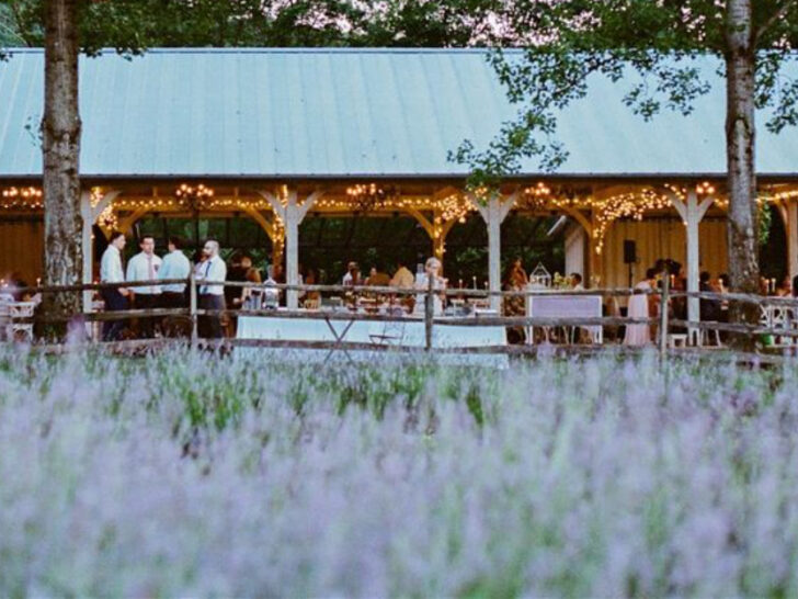 A Lavender Escape in New Jersey That Feels Like a Day Trip to Provence