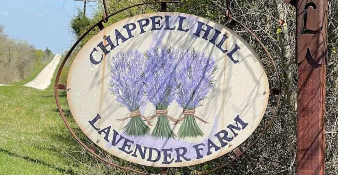 A Lavender Farm in Texas That Feels Like a European Escape