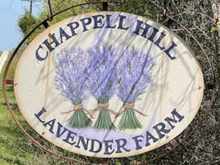 a lavender farm in texas that feels like a european escape