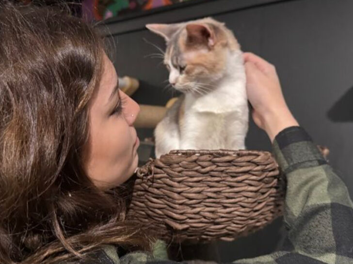 Cute Cats Keep You Company In This Trendy New Jersey Caf&eacute;