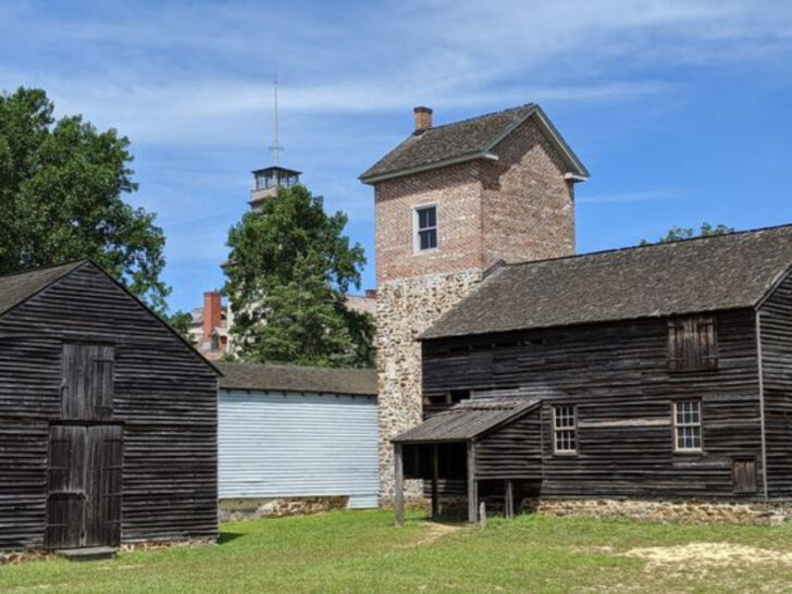 Deep in the Pine Barrens, This New Jersey Hike Uncovers a Lost Iron Village