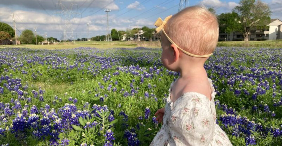 dont miss bluebonnet season dfws most beautiful spots