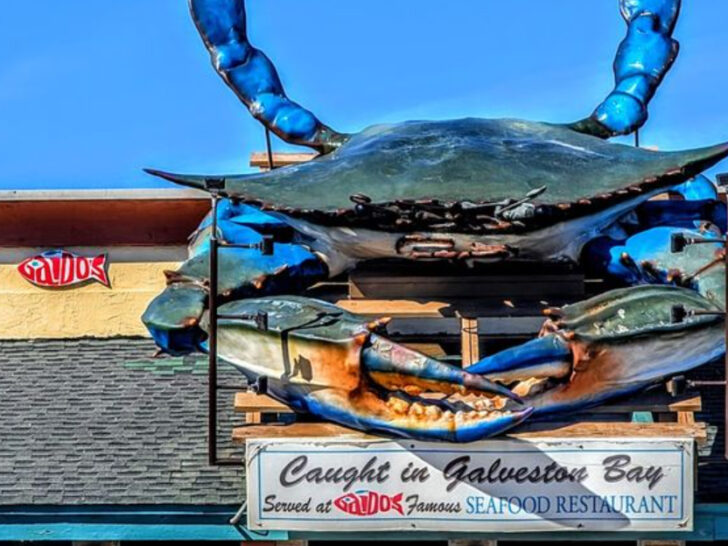 Generations of Texans Can&rsquo;t Be Wrong: Is This The Best Seafood In The South?