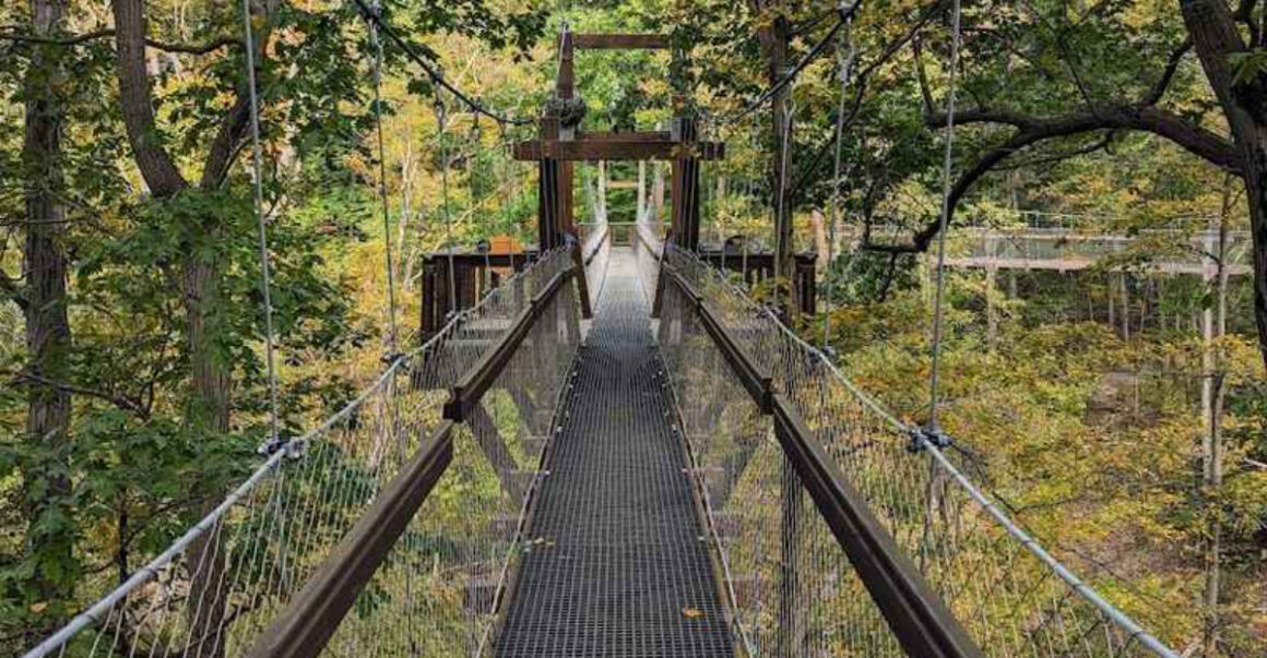 one breathtaking ohio nature spot takes you high among the treetops for a once in a lifetime adventure