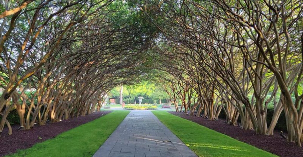 one of texas largest botanical gardens feels like a world of its own
