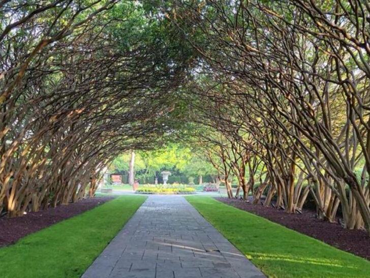 One of Texas&rsquo; Largest Botanical Gardens Feels Like a World of Its Own