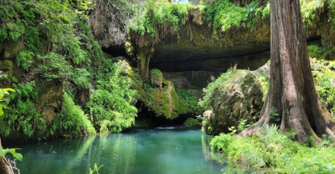 people are stunned when they discover the lush grotto hidden in this texas canyon