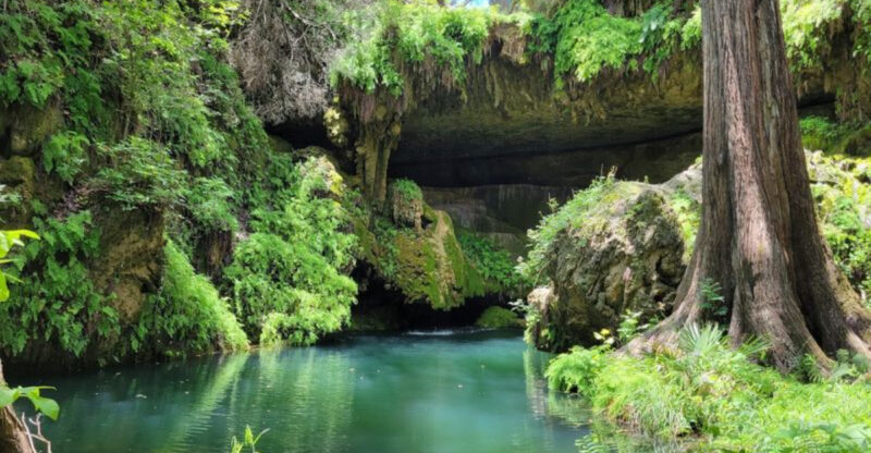 People Are Stunned When They Discover the Lush Grotto Hidden in This Texas Canyon
