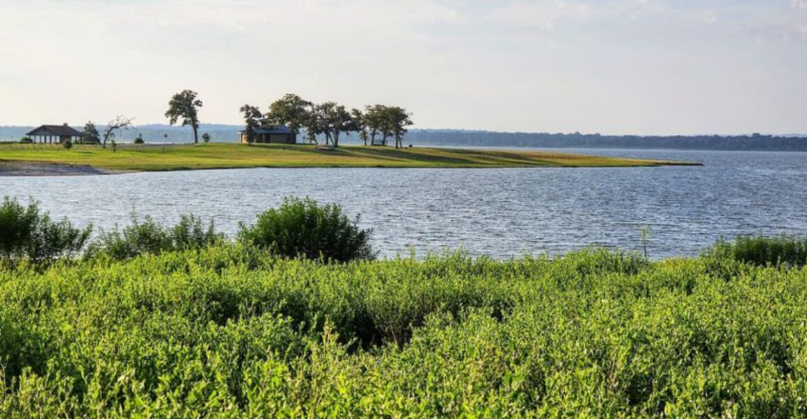stop scrolling the most stunning bluebonnet spot in texas is here