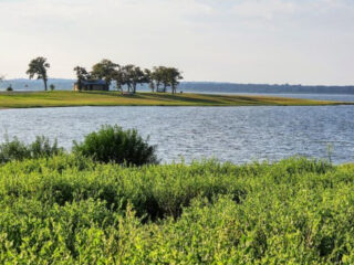 stop scrolling the most stunning bluebonnet spot in texas is here