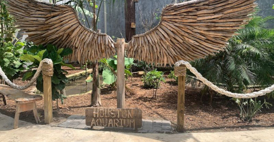 texas has an exotic petting zoo and you can touch almost everything