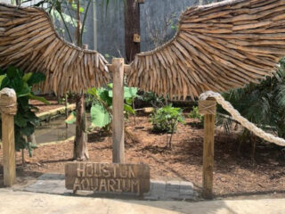 texas has an exotic petting zoo and you can touch almost everything