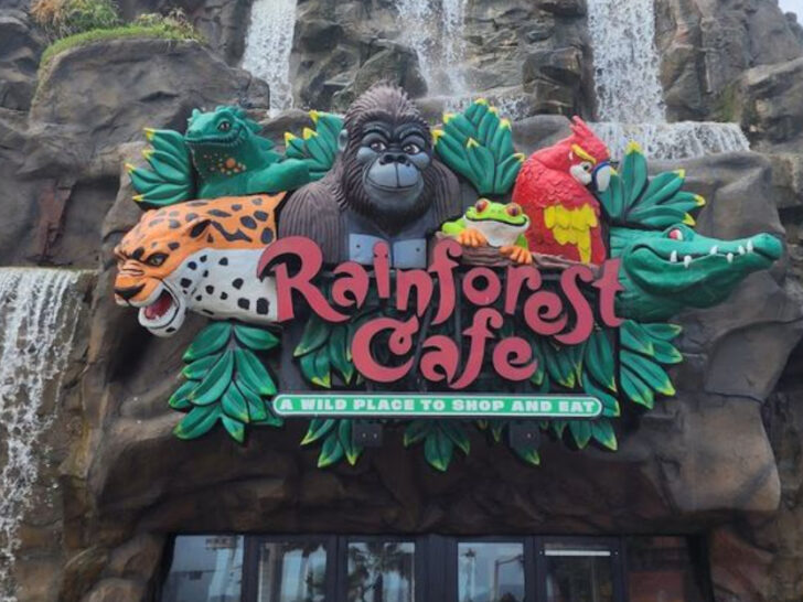 Texas Has the Only Rainforest Caf&eacute; Ride in the World&hellip;And It&rsquo;s Hidden Under the Restaurant