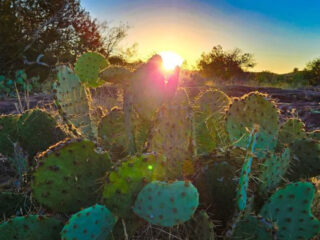 texas most underrated park is a dream for water lovers