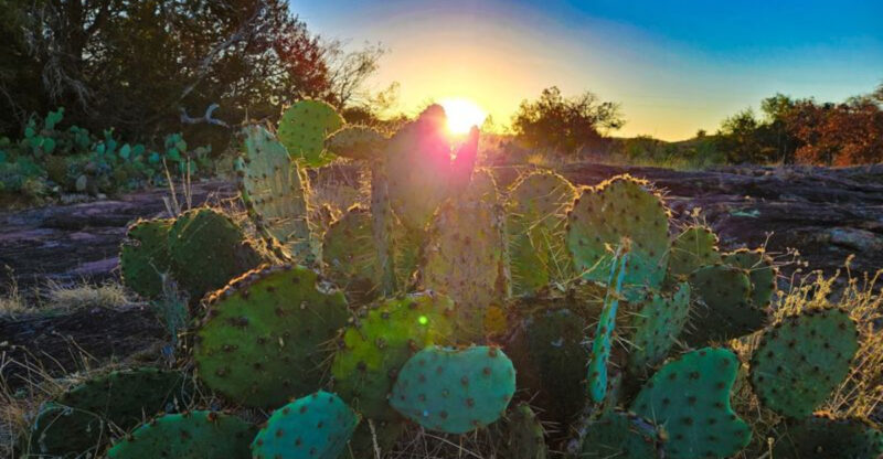 Texas’ Most Underrated Park Is a Dream for Water Lovers