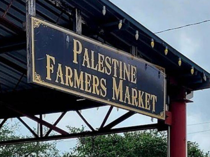 The Charming Texas Farmers Market Where Everything Feels Fresh From Local Farms
