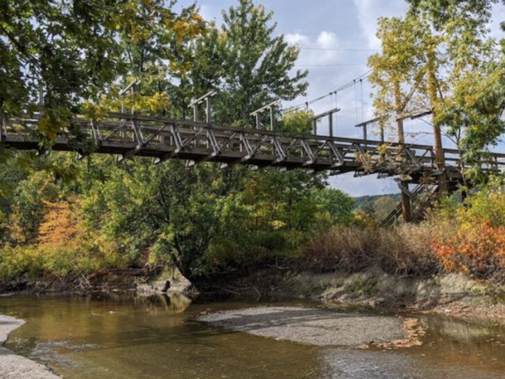 The Easy Boardwalk Hike in New Jersey With a Surprise Suspension Bridge