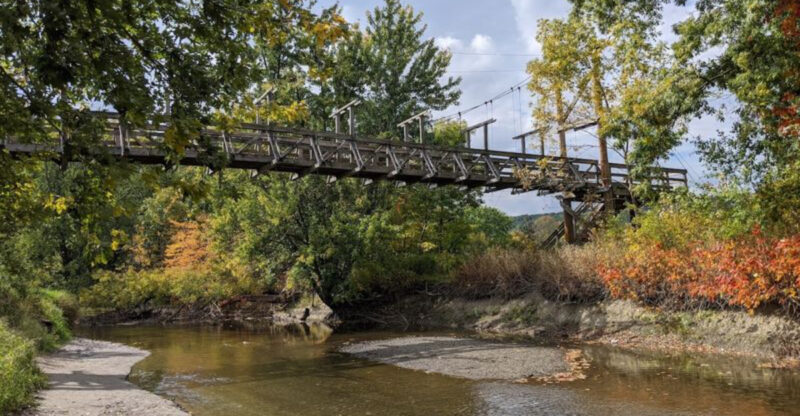 The Easy Boardwalk Hike in New Jersey With a Surprise Suspension Bridge