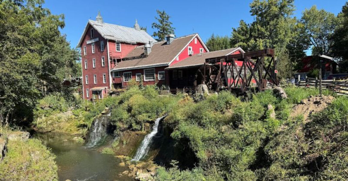 the homemade brunch at this ohio restaurant is so good its worth the drive