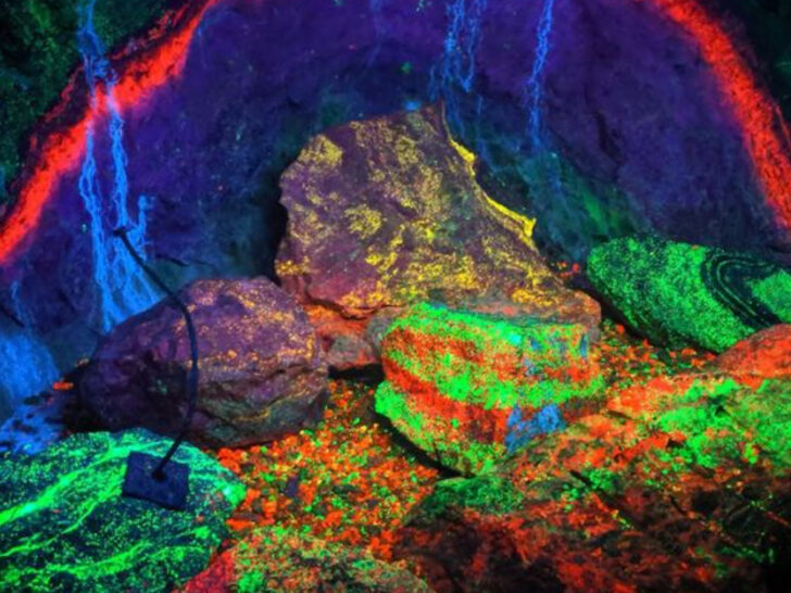 The Mysterious Glowing Tunnel Hidden Beneath New Jersey