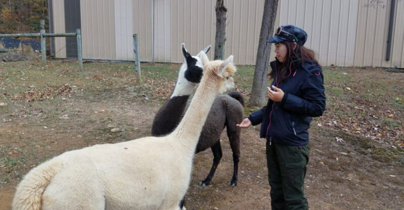 The New Jersey Alpaca Farm That Makes the Perfect Family Day Out