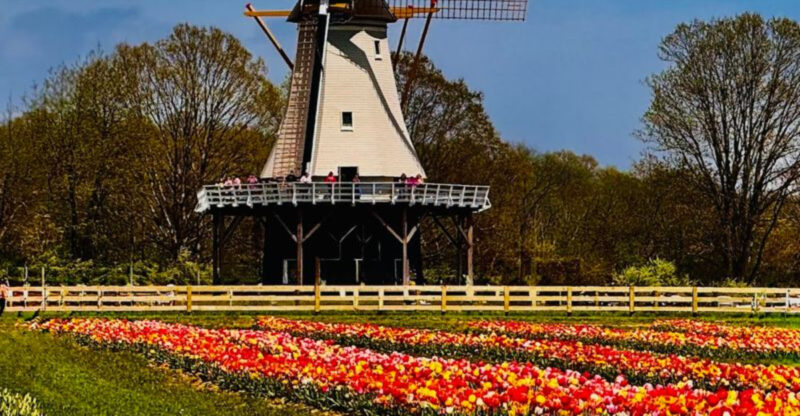 The New Jersey Tulip Farm Families Return to Every Spring