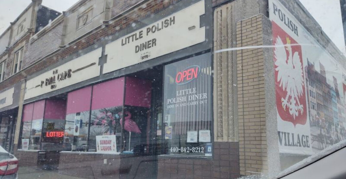 the pierogies at this diner in ohio are so delicious theyre worth the road trip