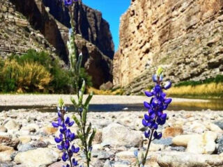 the short texas trail that delivers truly jaw dropping scenery