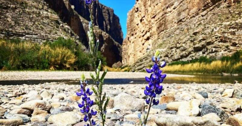 The Short Texas Trail That Delivers Truly Jaw-Dropping Scenery