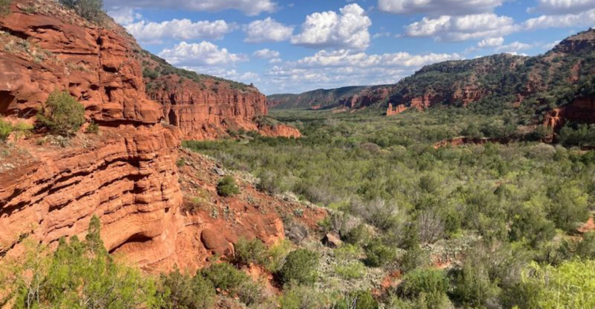 these 9 texas spots look unreal and theyre completely free to visit