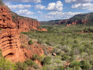 these 9 texas spots look unreal and theyre completely free to visit