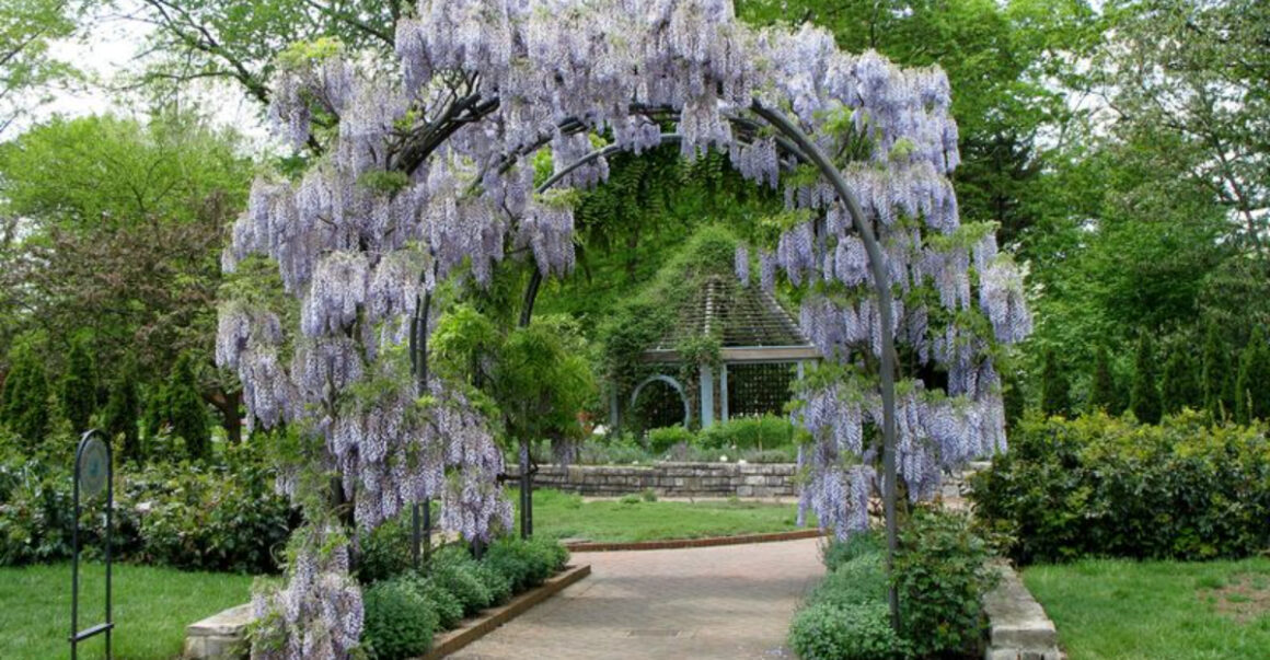 this 123 acre garden in ohio feels like stepping into a jane austen novel