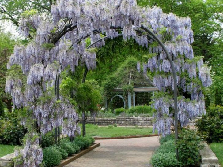 This 123-Acre Garden In Ohio Feels Like Stepping Into A Jane Austen Novel
