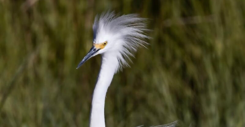 This 50 Mile Wildlife Refuge in New Jersey Is a Dream Destination for Bird Lovers