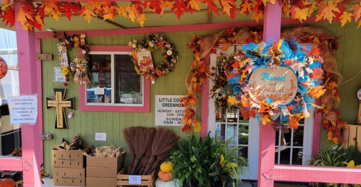 this amish greenhouse in texas is packed with garden tips and sweet country store finds