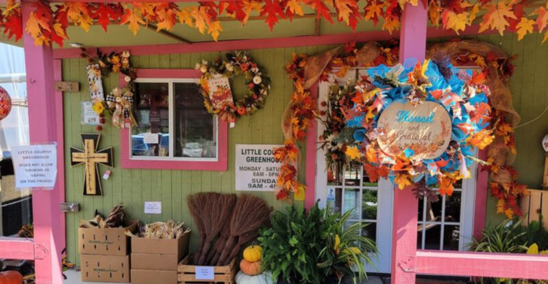 This Amish Greenhouse in Texas Is Packed With Garden Tips and Sweet Country Store Finds