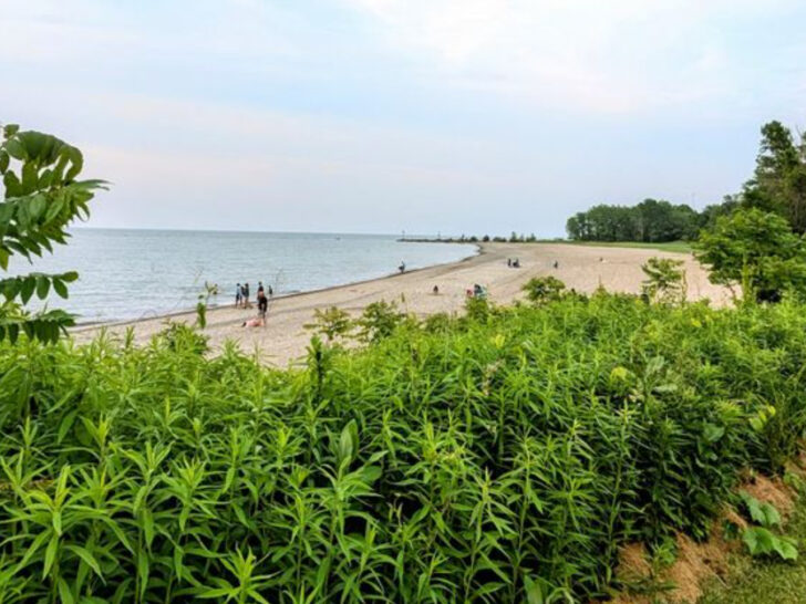 This Beautiful Lake Beach In Ohio Will Make You Feel Like You’re At The Ocean