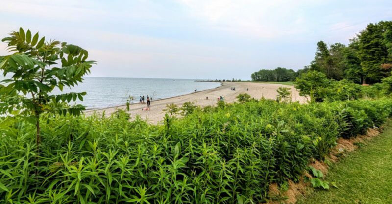This Beautiful Lake Beach In Ohio Will Make You Feel Like You’re At The Ocean